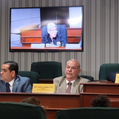 Wilson Román López, vicepresidente de la Comisión de lo Jurídico, Carlos "Johnny" Méndez, Presidente de la Cámara de Representantes, y José "Ché" Pérez, presidente de la Comisión de lo Jurídico.